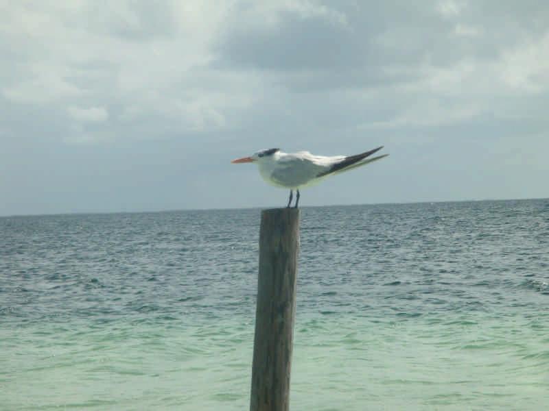 DSC01433.jpg