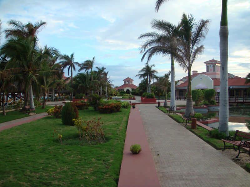 DSC00928.jpg