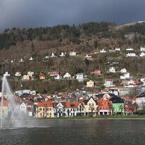 IMG_9920