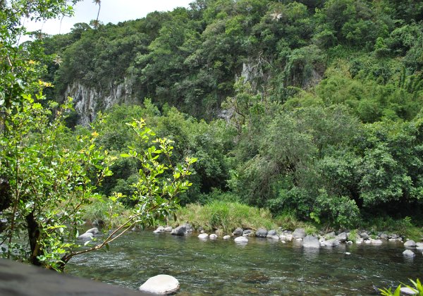 Boudry Andy - La Reunion