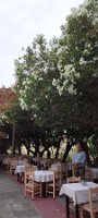 IMG_20240522_112808