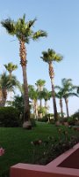 IMG_20240523_080407