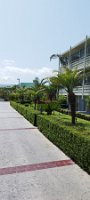 IMG_20240523_114529