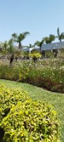 IMG_20240523_114545