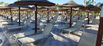 IMG_20240524_081900